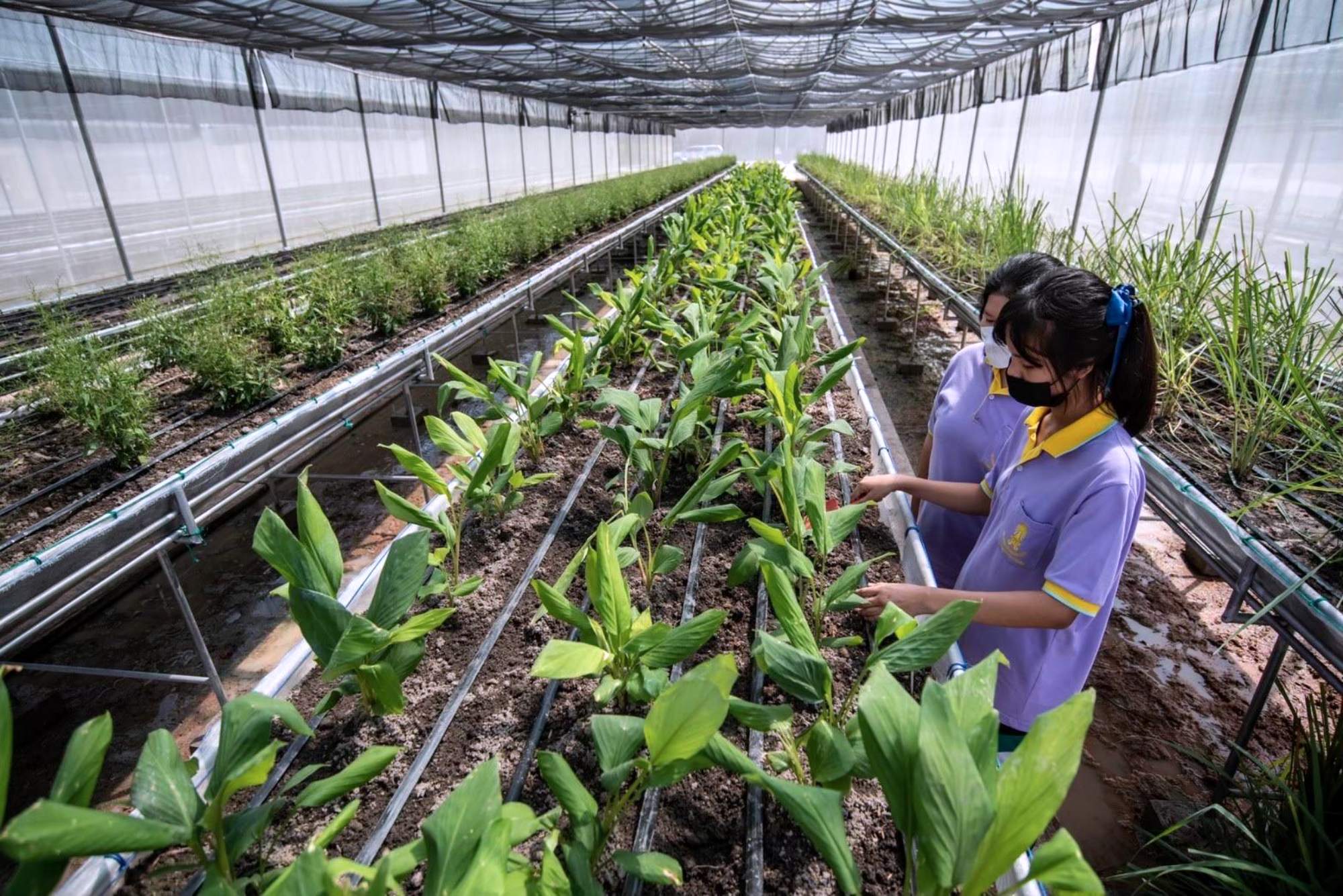 Library-rayong-00002
